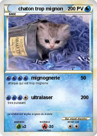Pokemon chaton trop mignon