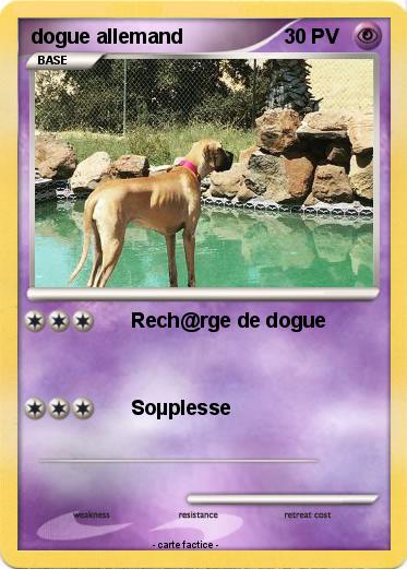 Pokemon dogue allemand