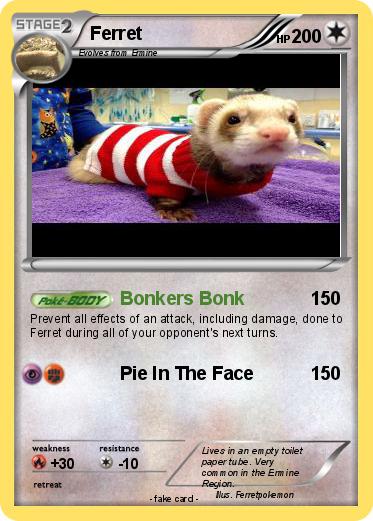 Pokemon Ferret