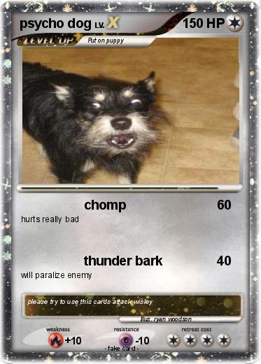 Pokemon psycho dog