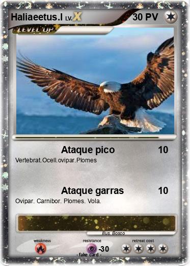 Pokemon Haliaeetus.l