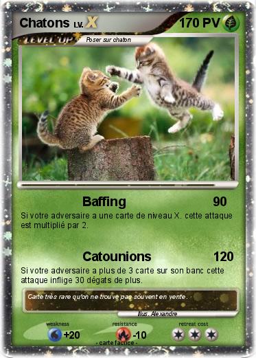 Pokemon Chatons