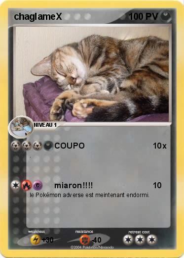 Pokemon chaglameX