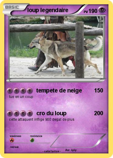 Pokemon loup legendaire