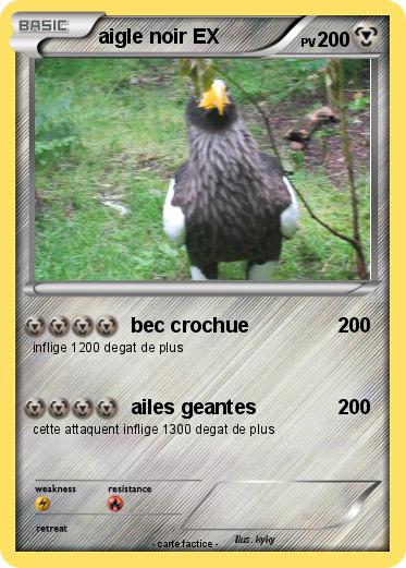 Pokemon aigle noir EX