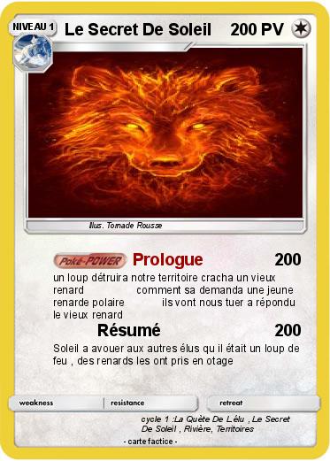 Pokemon Le Secret De Soleil