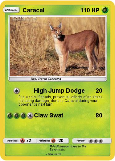 Pokemon Caracal