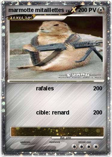 Pokemon marmotte mitaillettes