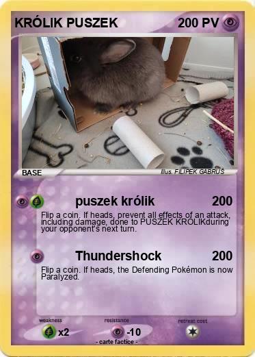 Pokemon KRÓLIK PUSZEK