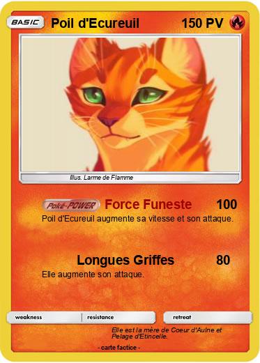 Pokemon Poil d'Ecureuil