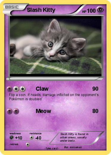 Pokemon Slash Kitty
