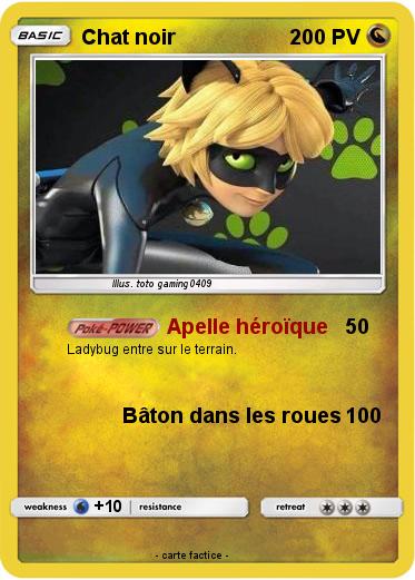 Pokemon Chat noir