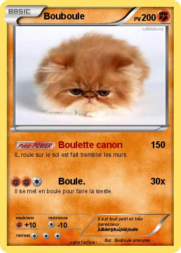 Pokemon Bouboule