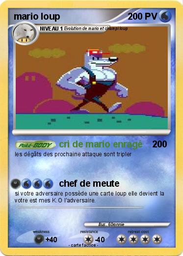 Pokemon mario loup