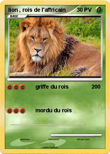 Pokemon lion , rois de l'affricain