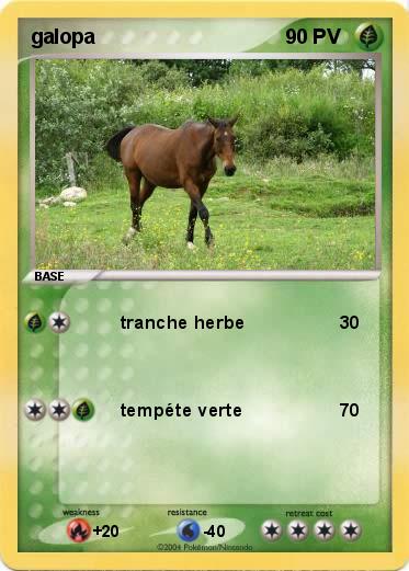 Pokemon galopa