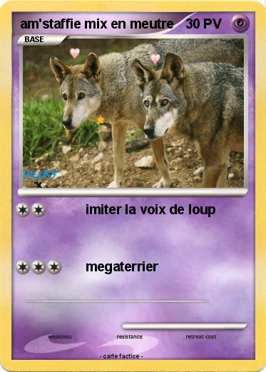 Pokemon am'staffie mix en meutre