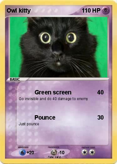 Pokemon Owl kitty