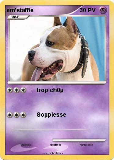 Pokemon am'staffie