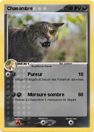 Pokemon Chasombre