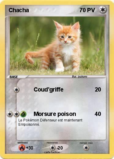 Pokemon Chacha