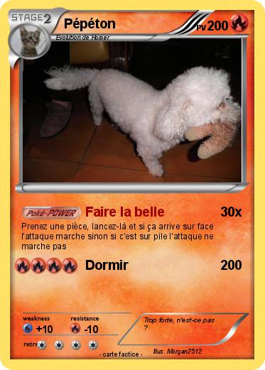 Pokemon Pépéton