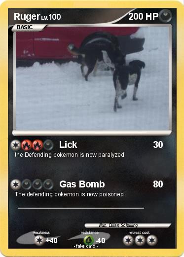 Pokemon Ruger