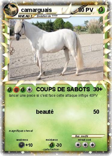 Pokemon camarguais