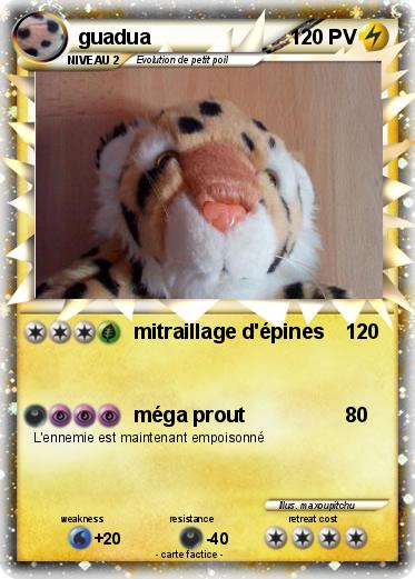 Pokemon guadua