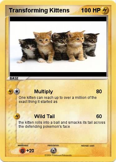 Pokemon Transforming Kittens