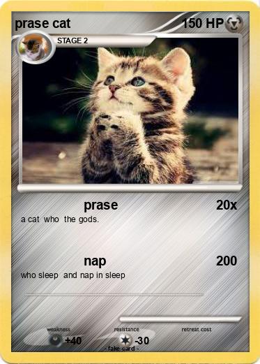 Pokemon prase cat