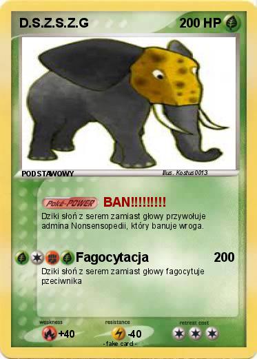 Pokemon D.S.Z.S.Z.G