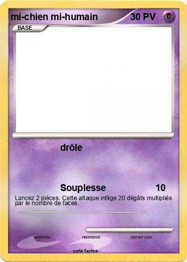 Pokemon mi-chien mi-humain