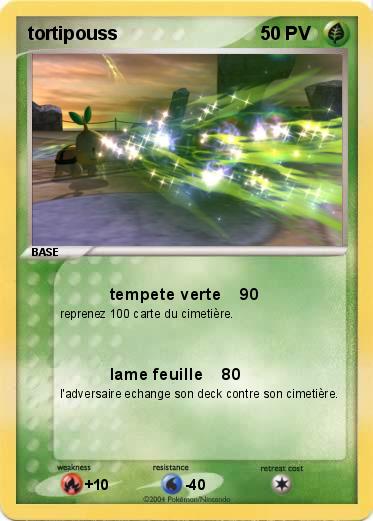 Pokemon tortipouss