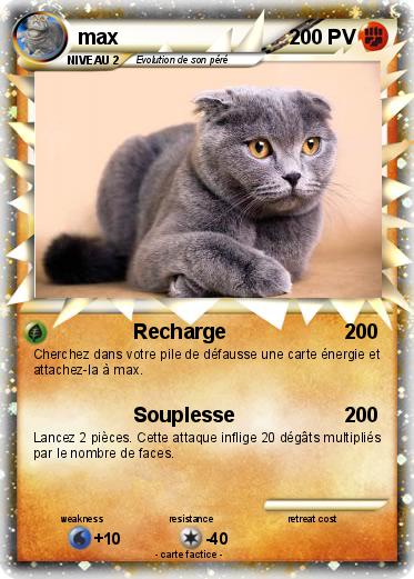 Pokemon max