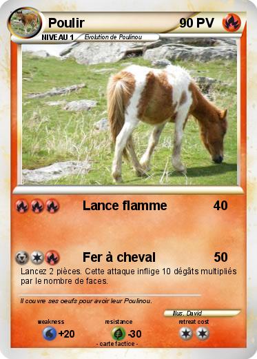 Pokemon Poulir