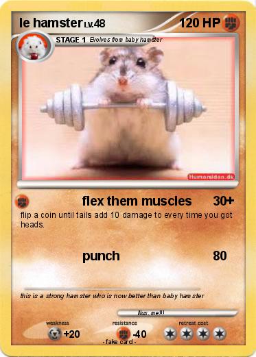 Pokemon le hamster
