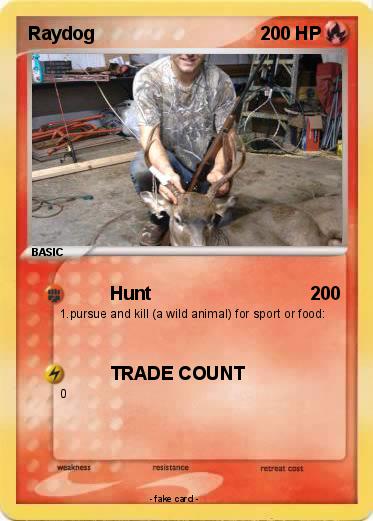 Pokemon Raydog