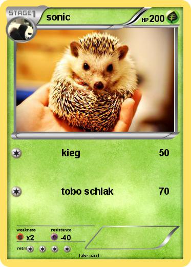 Pokemon sonic