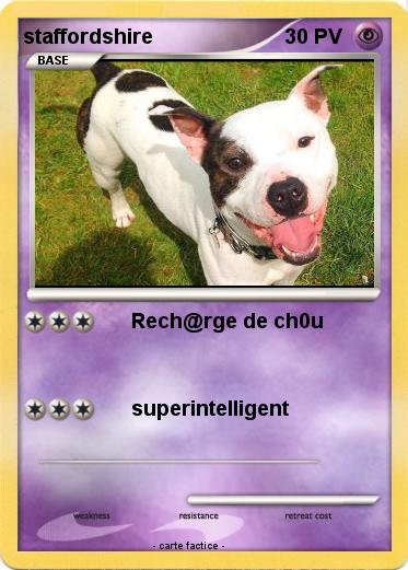 Pokemon staffordshire