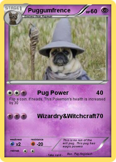 Pokemon Puggumfrence