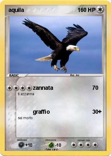 Pokemon aquila