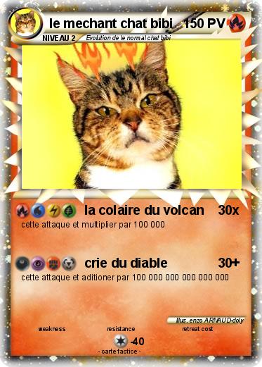 Pokemon le mechant chat bibi