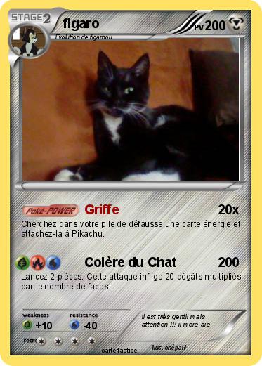Pokemon figaro
