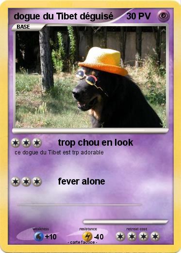 Pokemon dogue du Tibet déguisé