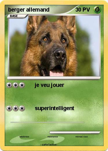 Pokemon berger allemand