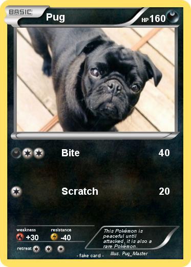 Pokemon Pug