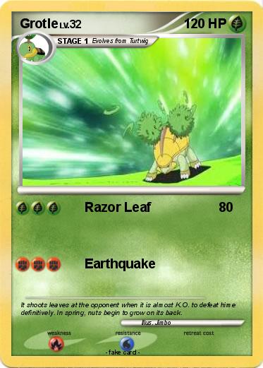 Pokemon Grotle