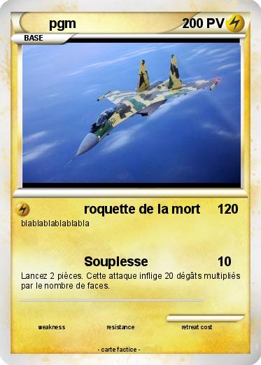 Pokemon pgm