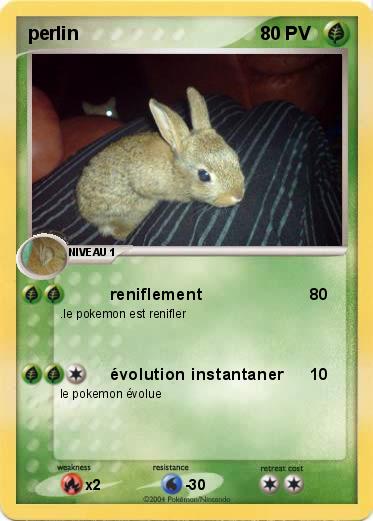 Pokemon perlin